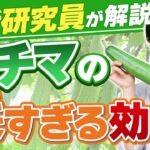 【ヘチマの凄い効能】スキンケアのプロが教えます！