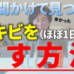 【ニキビの治し方】ニキビができたらこれをやると最短で治ります！悩み続けて見つけたスキンケア最強フルセット【ニキビ 肌荒れ 改善 治し方】