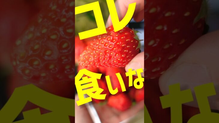 【肌が激変】ニキビ肌荒れ必見！春に食べるべき美肌になる食べ物ベスト3