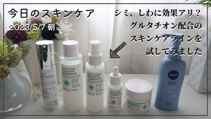 【今日のスキンケア 朝】シミ、しわに効果がありそうなスキンケアラインを使ってみました【VTCOSMETICS/APLB/NIVEA】