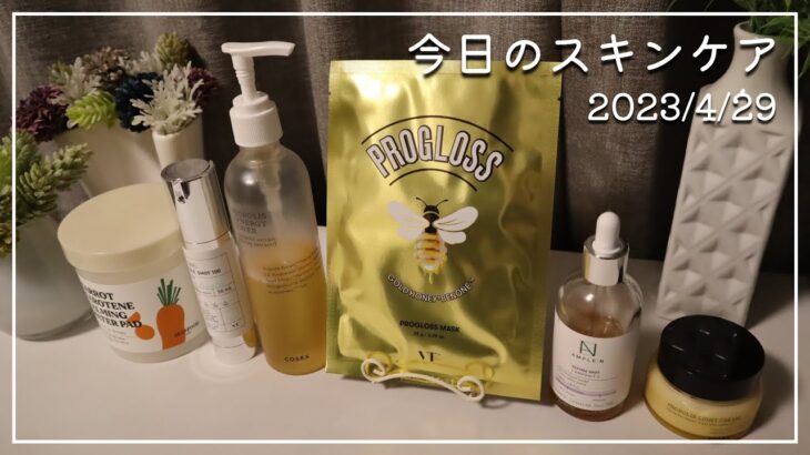 【今日のスキンケア】久し振りにVTのプログロスマスク使います(期限切れちゃってますが…😓)【SKINFOOD/VT COSMETICS/COSRX/AMPLE:N】