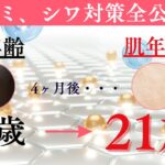 【シミ、シワ対策】”4ヶ月”で《－9歳肌》美容を全公開します【永久保存版】