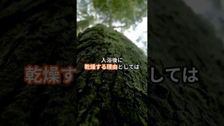 乾燥肌にお悩みのみなさん必見！意外と忘れがちな入浴後の保湿ケアを徹底解説！#スキンケア #shorts