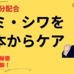 セラミド ナイアシンアミド配合【シミ シワ 解消】おすすめ美容液