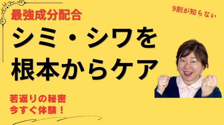 セラミド ナイアシンアミド配合【シミ シワ 解消】おすすめ美容液