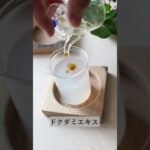 【手作りコスメ】お肌の乾燥はクレンジングが原因かも！？潤いを残してくれるクレンジングを作ろう！ #ハンドメイドコスメ #手作り #美容