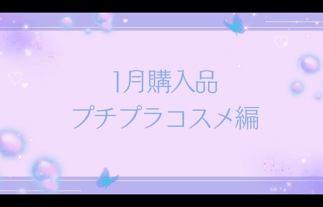 1月購入品〜プチプラコスメ編〜